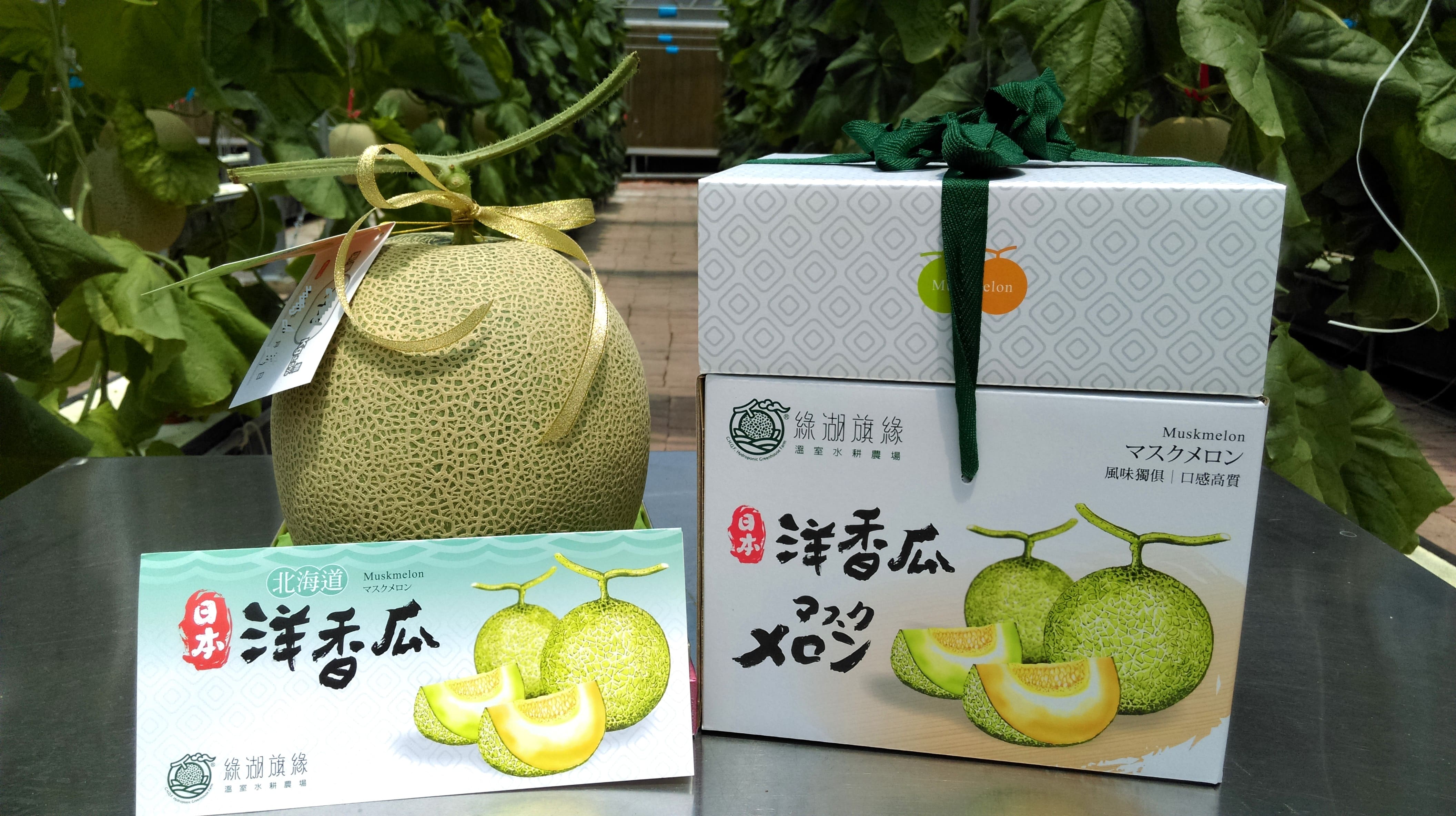 綠湖旗緣溫室農場 日本網紋洋香瓜專賣